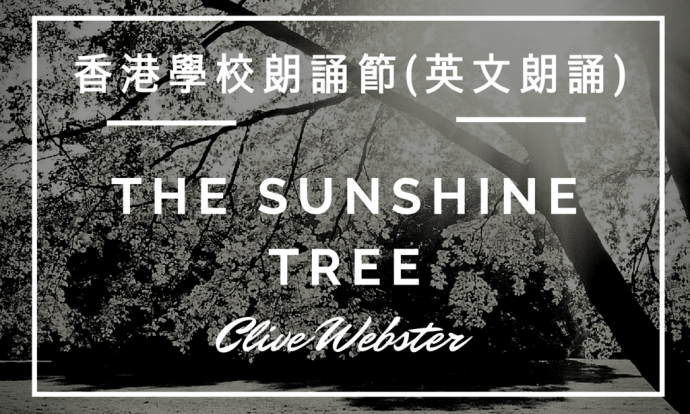 The Sunshine Tree